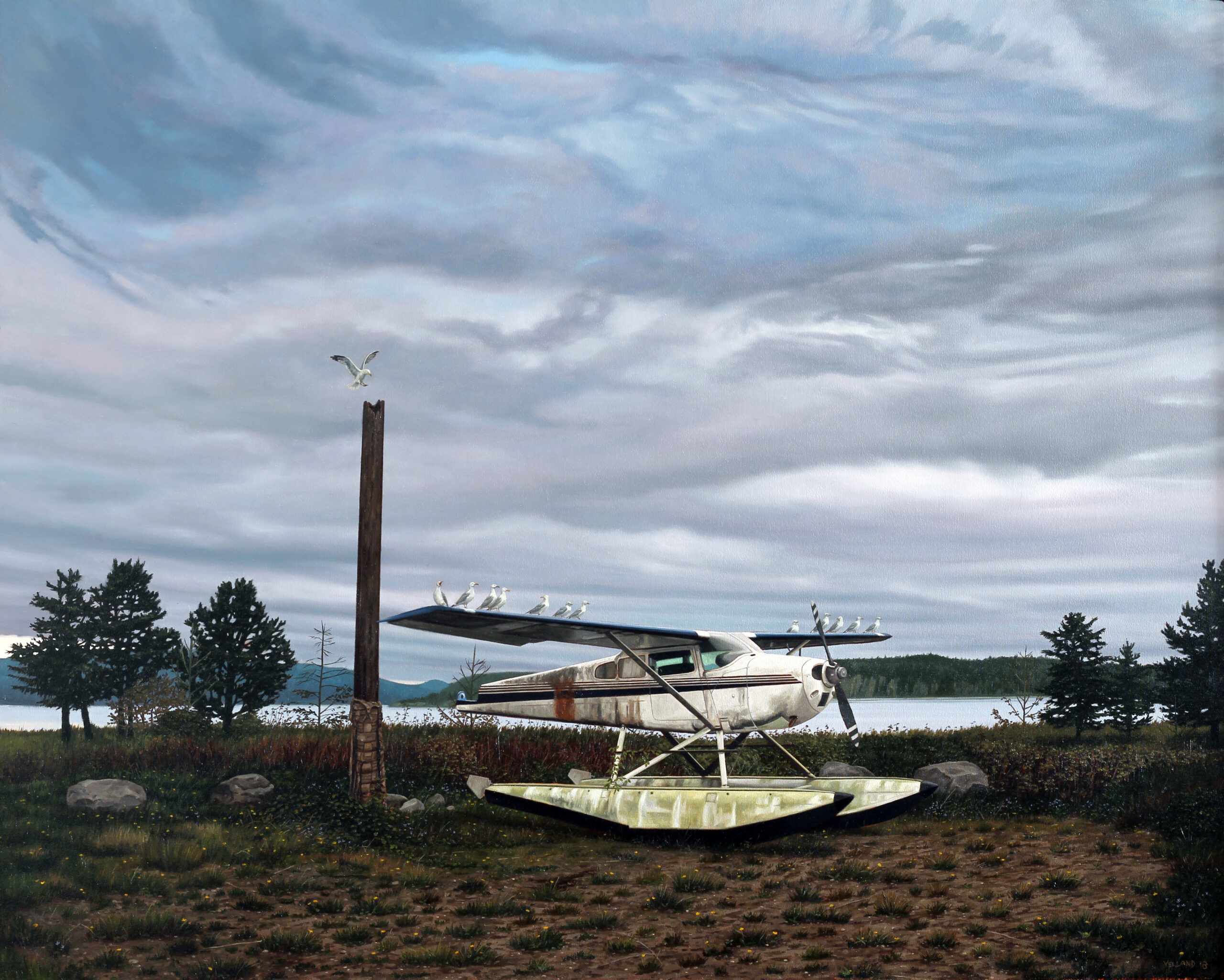 Sean Yelland-sea plane on land with sea gulls on wings, lake in the background